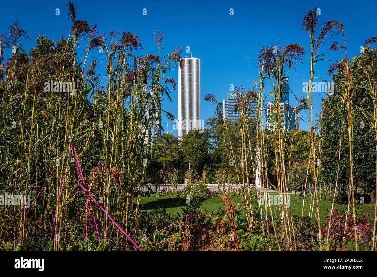 L'art sur la Ferme l'agriculture urbaine Cuisine jardin potager, Grant Park, Chicago, Illinois, États-Unis Banque D'Images