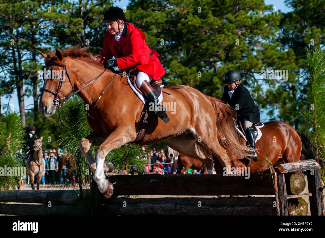 Southern Pines, North Carolina, USA. 27 Nov, 2019. 28 novembre 2019 - Southern PINES, North Carolina, USA - Les cavaliers et leurs chevaux sauter une clôture au cours de la 105e assemblée annuelle de la bénédiction des chiens, au champ Buchan. Organisé par le club de chasse de chiens courants du comté de Moore, l'événement est une tradition de Thanksgiving dans Moore Comté. Les cavaliers en tenue de chasse traditionnelles pour l'un des plus anciens chasse dans la nation. Le Penn-MaryDel hounds sont un pack qui remonte à 1914. Image Crédit : © Timothy L. Hale via Zuma sur le fil) Credit : Timothy L. Hale/ZUMA/Alamy Fil Live News Banque D'Images