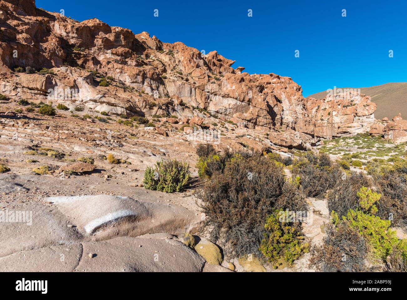 Valles de Rocas Piedras, Rocas, Copa del Mudo, le sud de l'Altiplano, Bolivie, Amérique Latine Banque D'Images