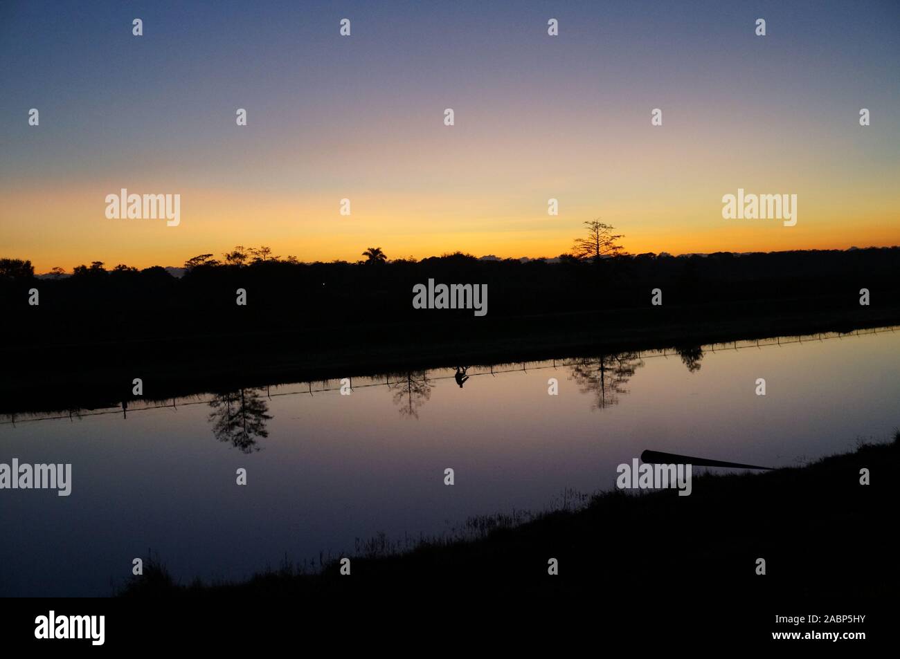 Dans le reflet du soleil dans le marais bayou Banque D'Images