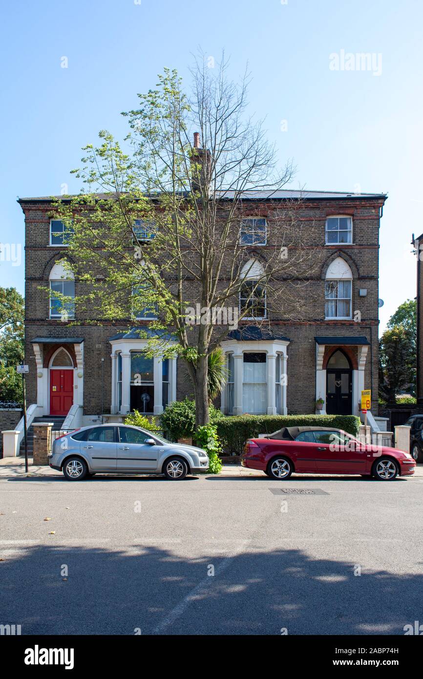 Un arbre de rue en limes à feuilles étroites (Tilia cordata), images d'automne et de printemps disponibles, Upper Holloway, Londres, Royaume-Uni - vue sur le printemps Banque D'Images