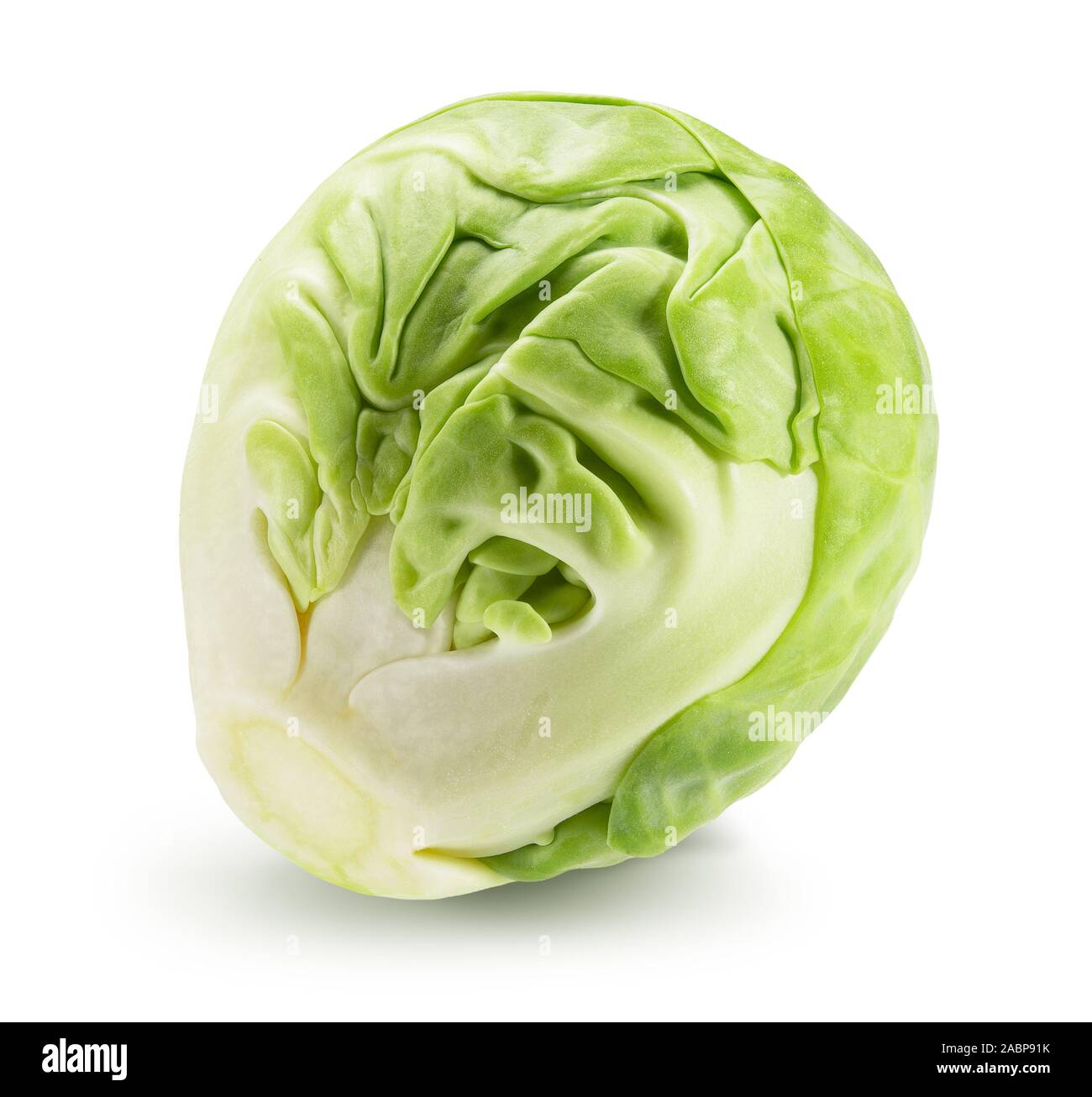 .Les choux de bruxelles isolé sur un fond blanc. Banque D'Images