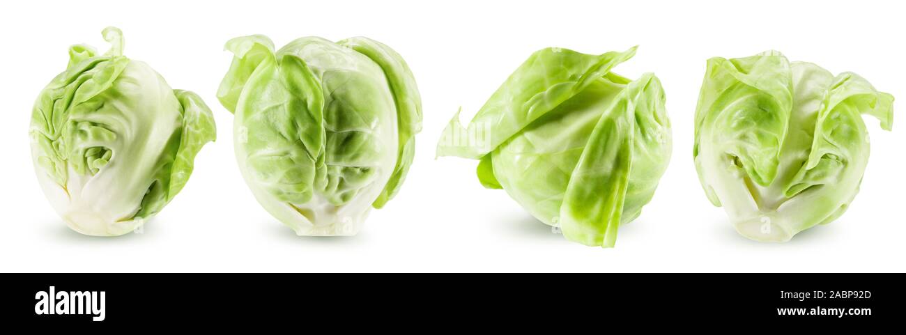 Collection de choux de bruxelles isolé sur un fond blanc. Banque D'Images