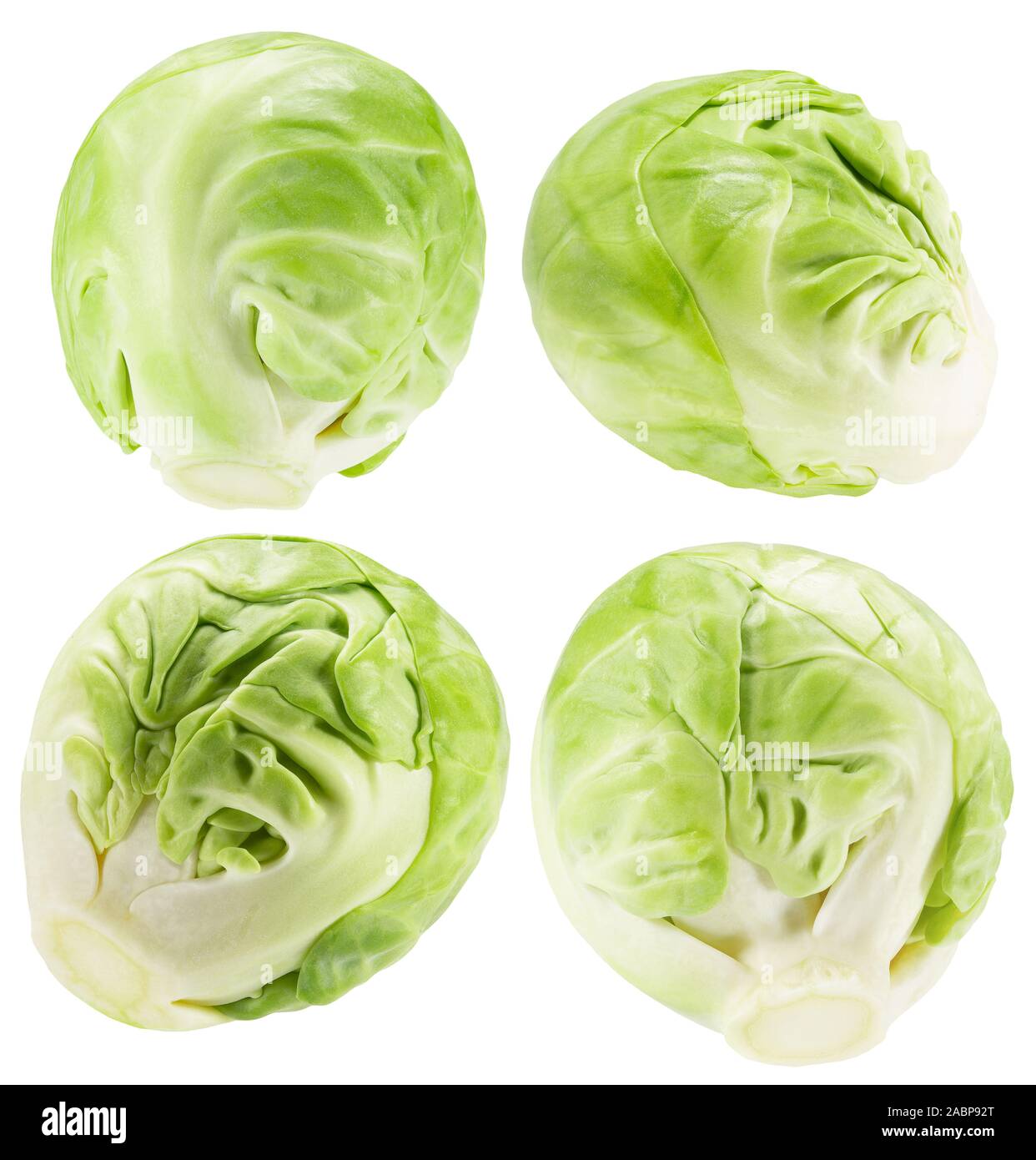 Collection de choux de bruxelles isolé sur un fond blanc. Banque D'Images