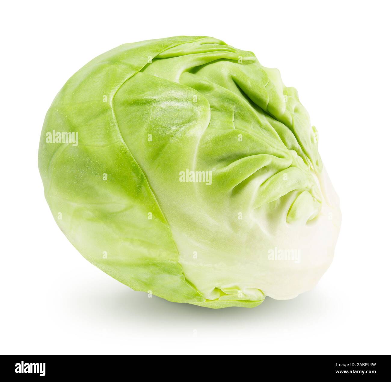 .Les choux de bruxelles isolé sur un fond blanc. Banque D'Images