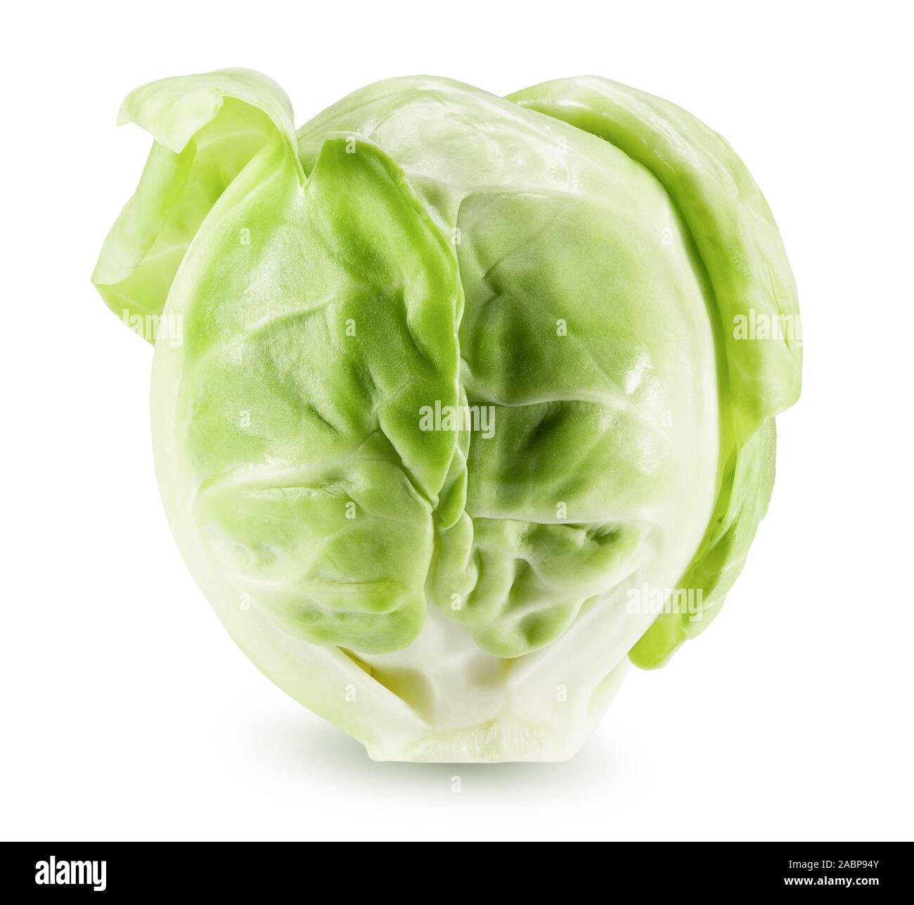 .Les choux de bruxelles isolé sur un fond blanc. Banque D'Images