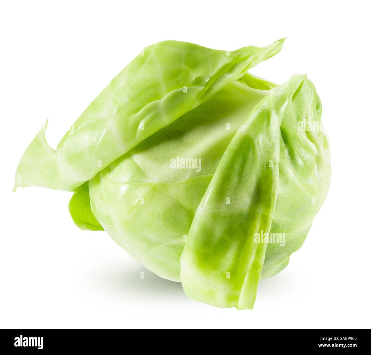 .Les choux de bruxelles isolé sur un fond blanc. Banque D'Images
