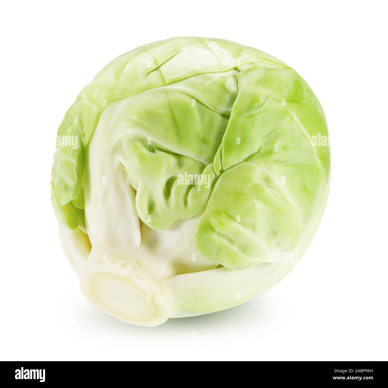 .Les choux de bruxelles isolé sur un fond blanc. Banque D'Images