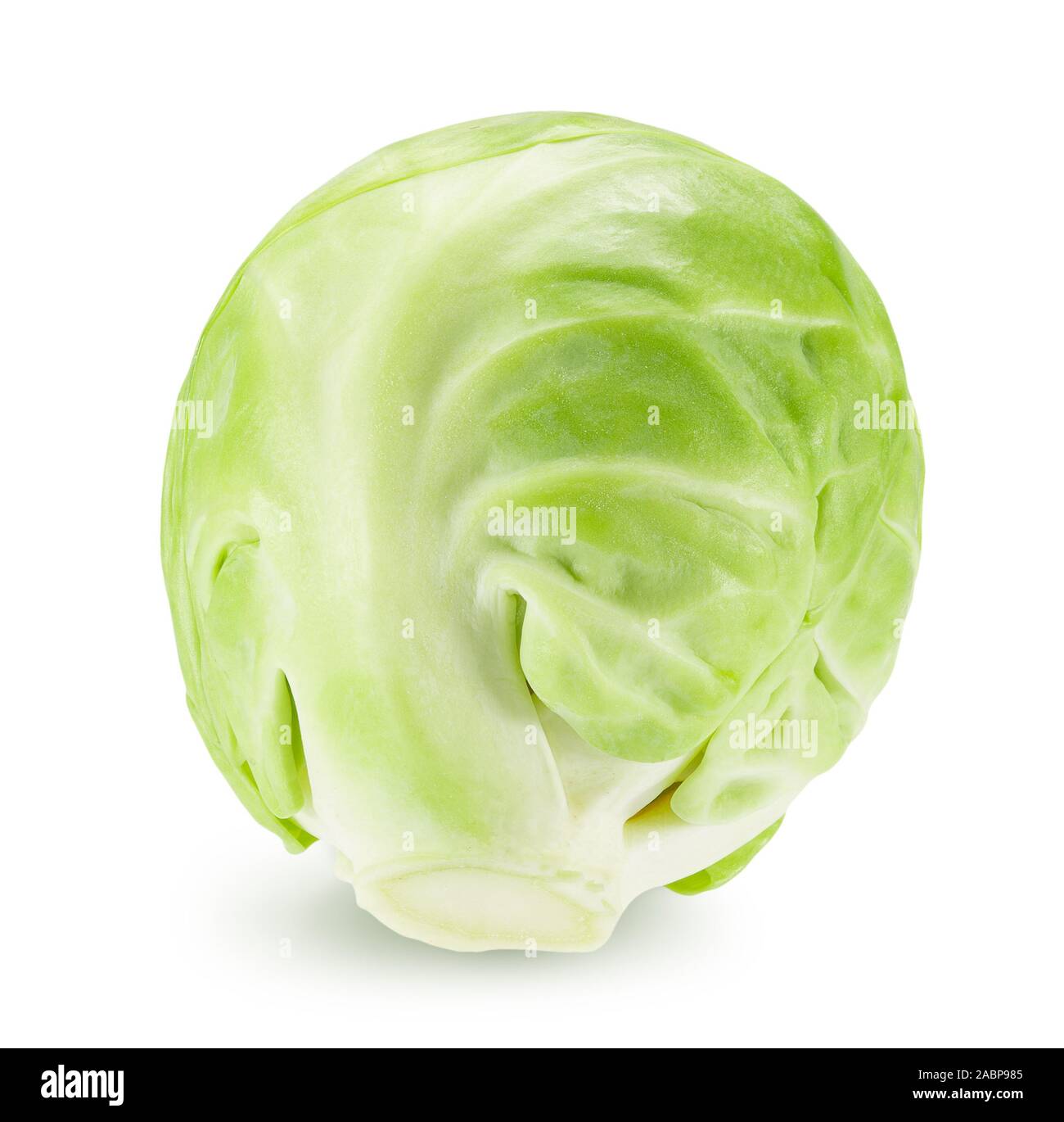 .Les choux de bruxelles isolé sur un fond blanc. Banque D'Images