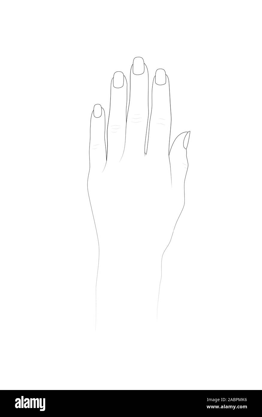 Modèle de main pour la conception et l'henné nail art pratique. Vector illustration Illustration de Vecteur