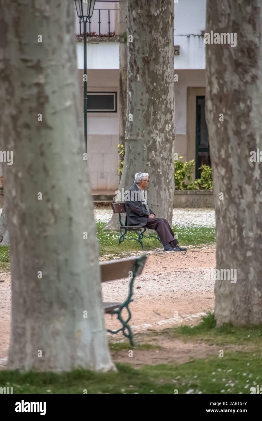 Tomar / Portugal - 0404 2019 : Avis de vieil homme assis sur un banc, derrière les arbres, de repos et à la recherche autour du parc. Banque D'Images