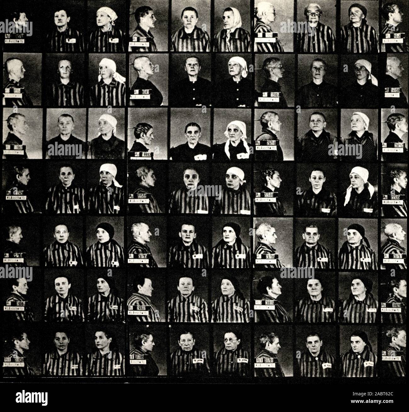 Des photographies des victimes du génocide à Auschwitz-Birkenau Banque D'Images
