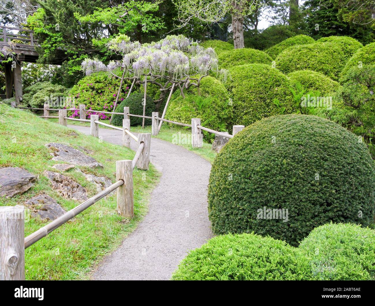Jardin de thé japonais dans le Golden Gate Park, San Francisco, California, USA Banque D'Images