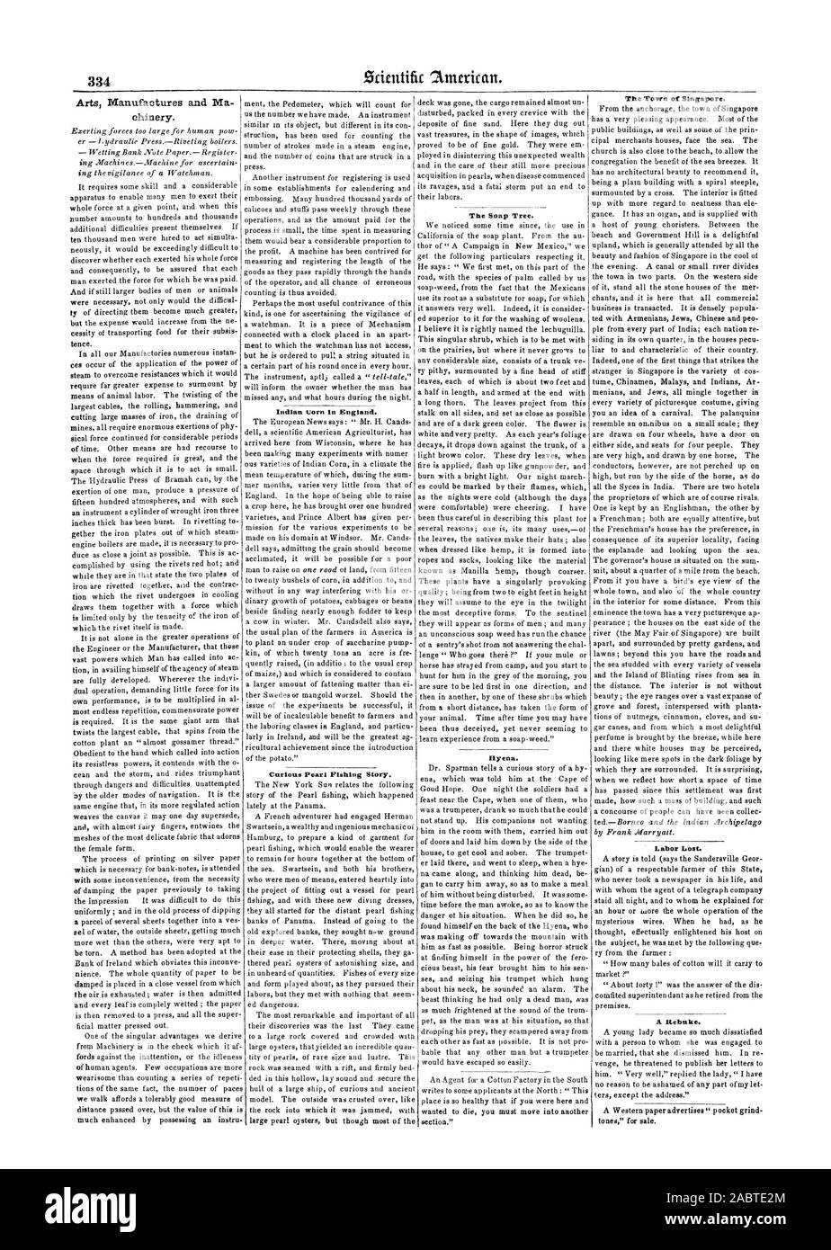 Fabrique des arts et le ma- JE chinery. Le maïs en Angleterre. Curieux Pearl Histoire de pêche. L'arbre de savon. Hyène. La ville de Singapour. La perte du travail. A. La réprimande., Scientific American, 1848-07-08 Banque D'Images