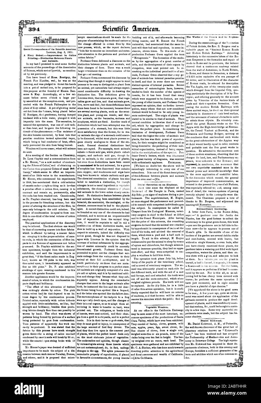 Les spécimens ont été recueillis et sont exposées par M. C. A : Shelton qui a beaucoup fait pour diriger l'attention du public sur les ressources agricoles et florales et de la richesse de la Californie. -[Alta Ca lifornia. Les Œuvres de l'Ctesars la réunion et Stephen fils jusqu'en novembre. La loi a été présentée et a accepté der., Scientific American, 1851-08-30 Banque D'Images