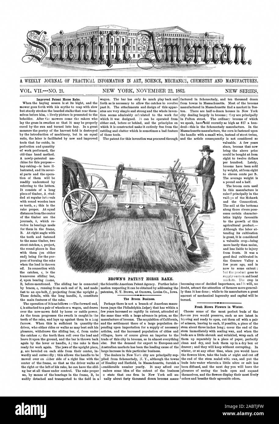 Brevet de BROWN HORSE RAKE. Scientific American, 1862-11-22 Banque D'Images