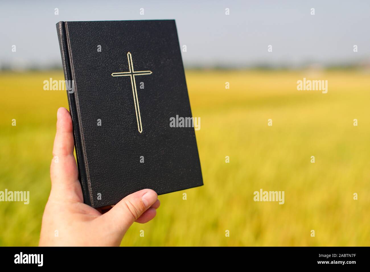 Homme tenant une Bible sur un champ de riz. Close-up. Le Vietnam. Banque D'Images