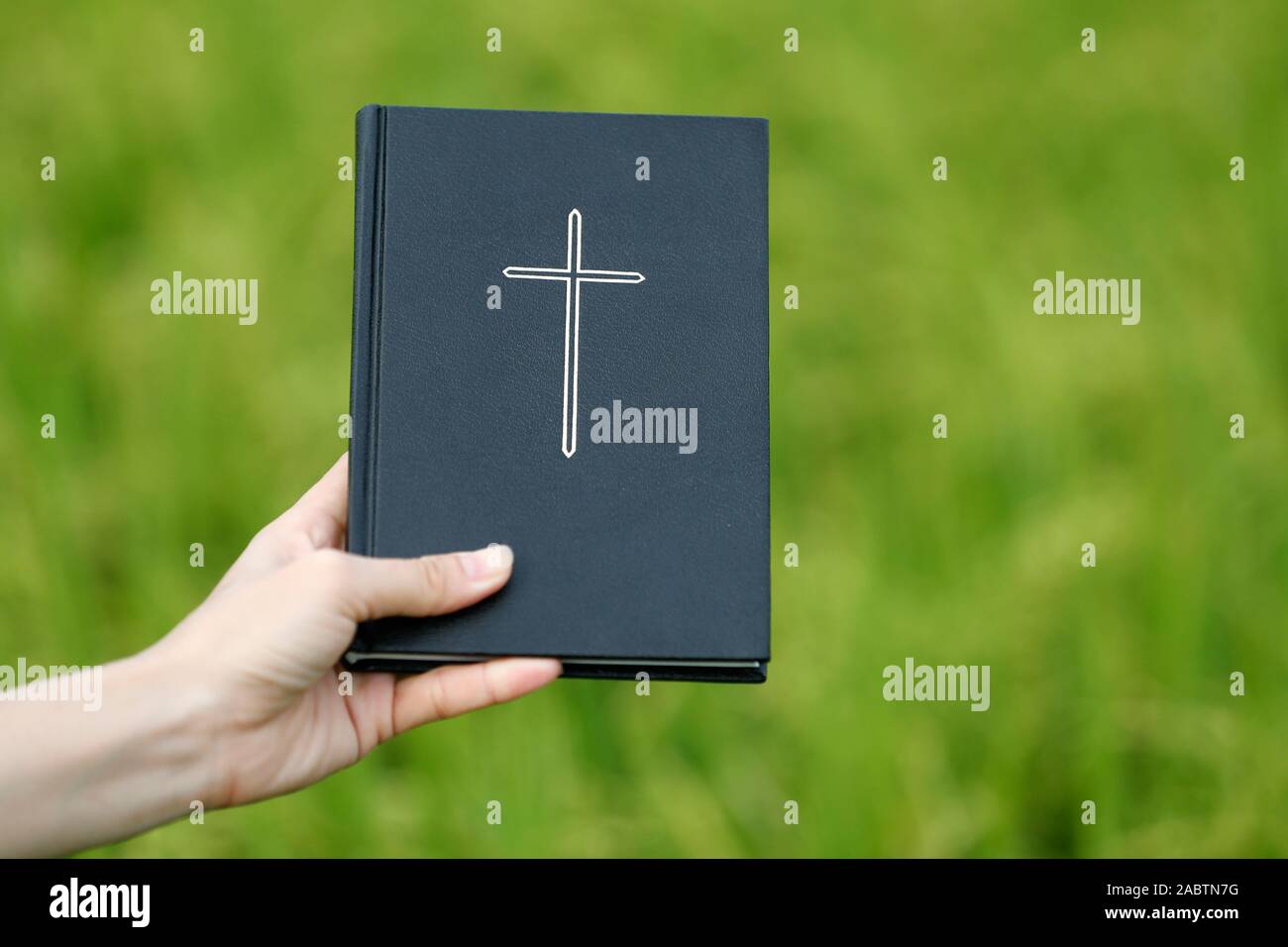 Femme tenant une Bible sur un champ de riz. Close-up. Le Vietnam. Banque D'Images