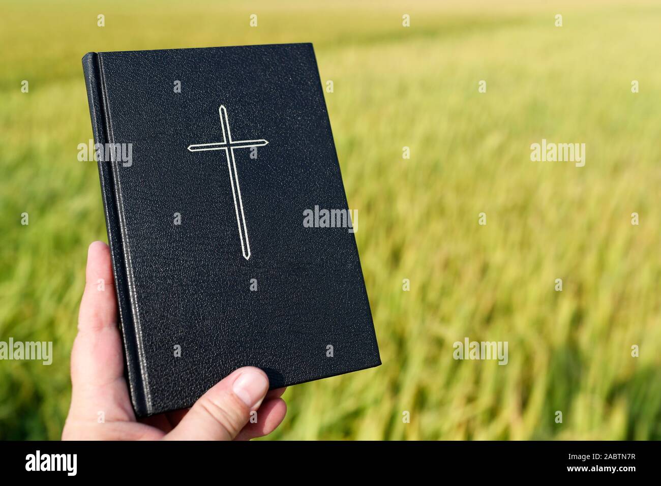 Homme tenant une Bible sur un champ de riz. Close-up. Le Vietnam. Banque D'Images