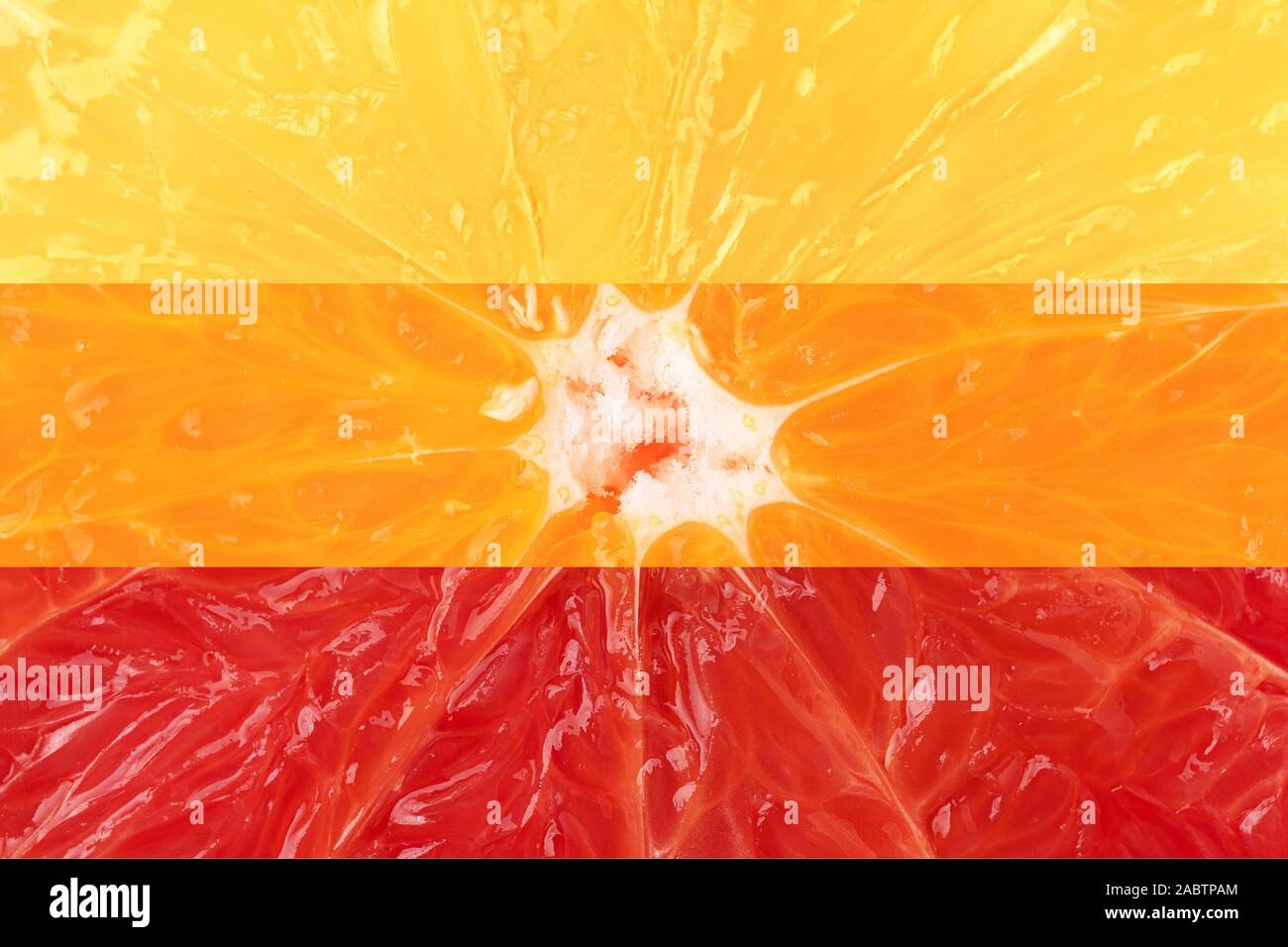Dégradé du rouge au jaune d'agrumes couleur cut bande macro collage collection. Pamplemousse, orange et citron fruits closeup Banque D'Images