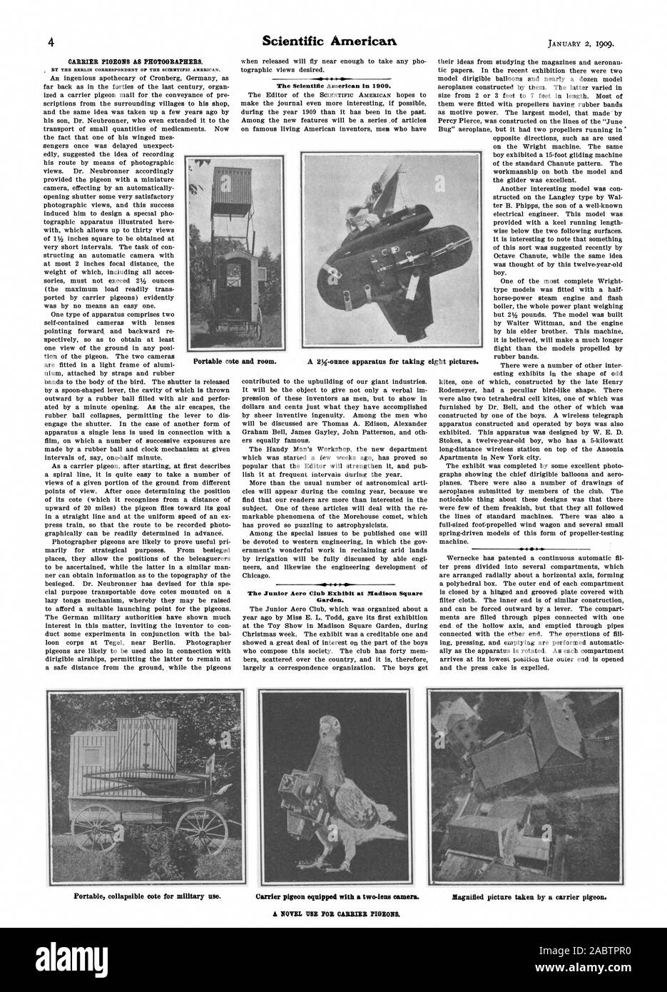 II L'exposition Aero Club Junior au Madison Square Garden. Cote portable et prix. Al cote pliable portable pour un usage militaire. Pigeon voyageur équipé d'un deux-objectifs. Agrandir photo prise par un pigeon voyageur. Nouvelle utilisation POUR PIGEONS VOYAGEURS., Scientific American, -1909-01-02 Banque D'Images