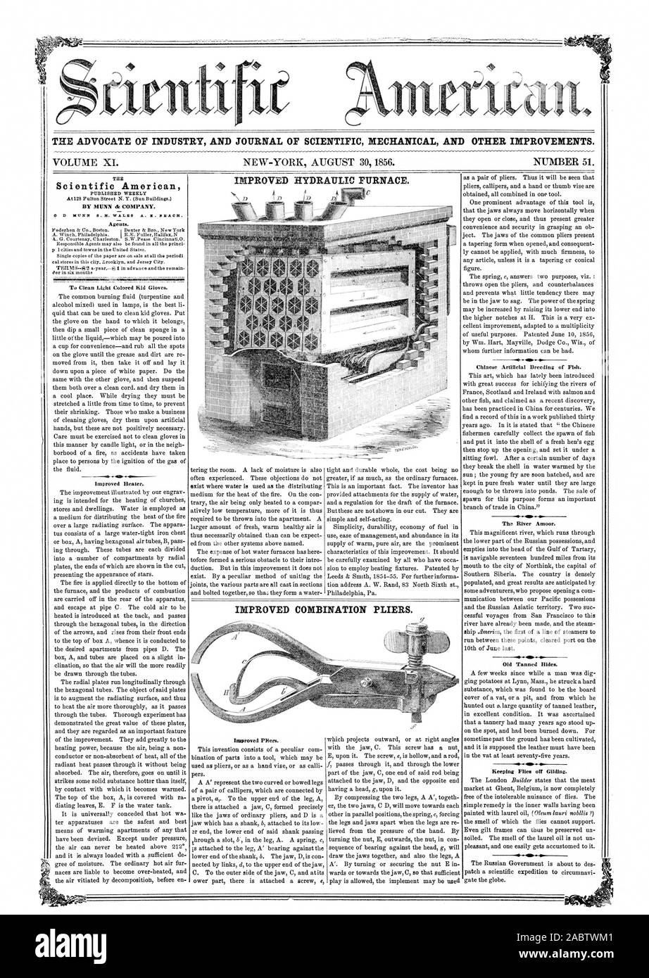 L'AVOCAT DE L'INDUSTRIE ET DU JOURNAL DE MÉCANIQUE SCIENTIFIQUE ET D'autres améliorations. 4 four hydraulique amélioré. AgQts Scientific American. KMOSOMAIMMMI902174101 {.01 0100.1. Pour nettoyer des gants de couleur claire. Amélioration de l'appareil de chauffage. PHers améliorées. La reproduction artificielle des poissons chinois. La rivière Amoor. Vieilles peaux tannées. Maintien de la dorure s'envole. Pinces universelles améliorées., 56-08-30 Banque D'Images