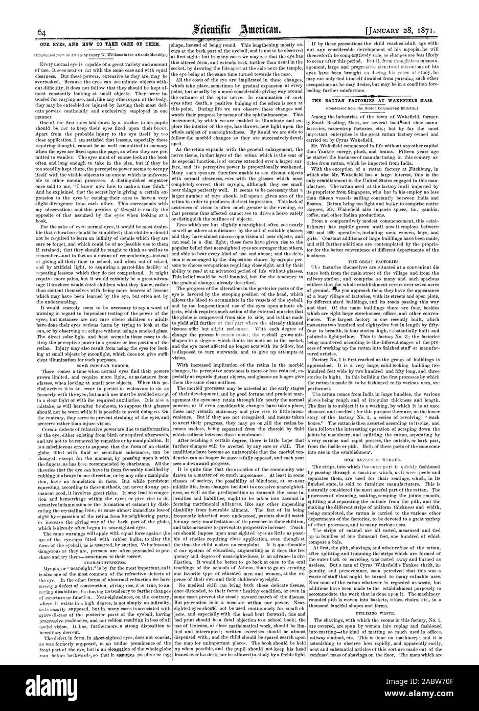 Nos yeux ET MAINTENANT À TAIP SAVONS DE T33;FR. Les usines en rotin à Wakefield. Masse, Scientific American, 1871-01-28 Banque D'Images