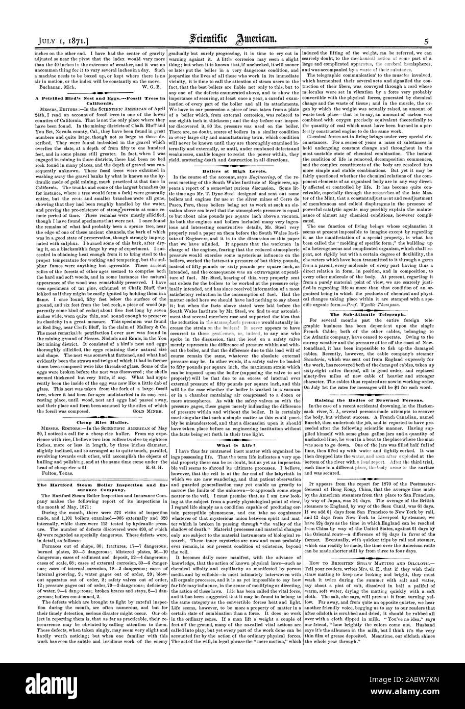 M un nid d'oiseau pétrifié et les oeufs--arbres fossiles en Californie. L'Huller Riz bon marché. La Hartford Steam Boiler Inspection et en entreprise. surance Chaudières à des niveaux élevés. Quelle est la vie augmentant le corps des personnes. brunis, Scientific American, 1871-07-01 Banque D'Images