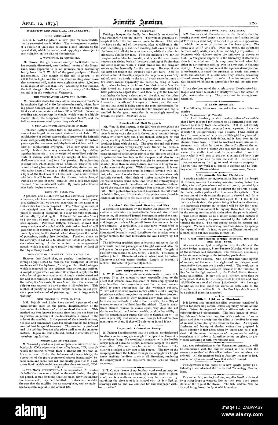 Des informations scientifiques et pratiques. Support de rail longitudinal. Car Journal standard de roulements et de clé. L'emploi de tuiles de la femme. Une invention du Texas. Un système pneumatique de la machine à coudre. Le Grand Pont susp.ansion entre Brooklyn et New York. L'acide Silicie comme mordant., Scientific American, 1873-04-12 Banque D'Images