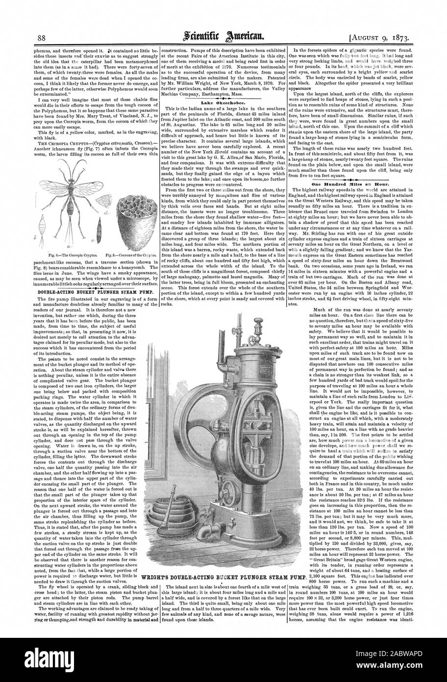 Seau À DOUBLE EFFET POMPE À VAPEUR DU PLONGEUR. Du lac Okeechobee. 7S SEAU DOUBLE EFFET STEAX PLONGEUR cent milles à l'heure. Peser, Scientific American, 1873-08-09 Banque D'Images