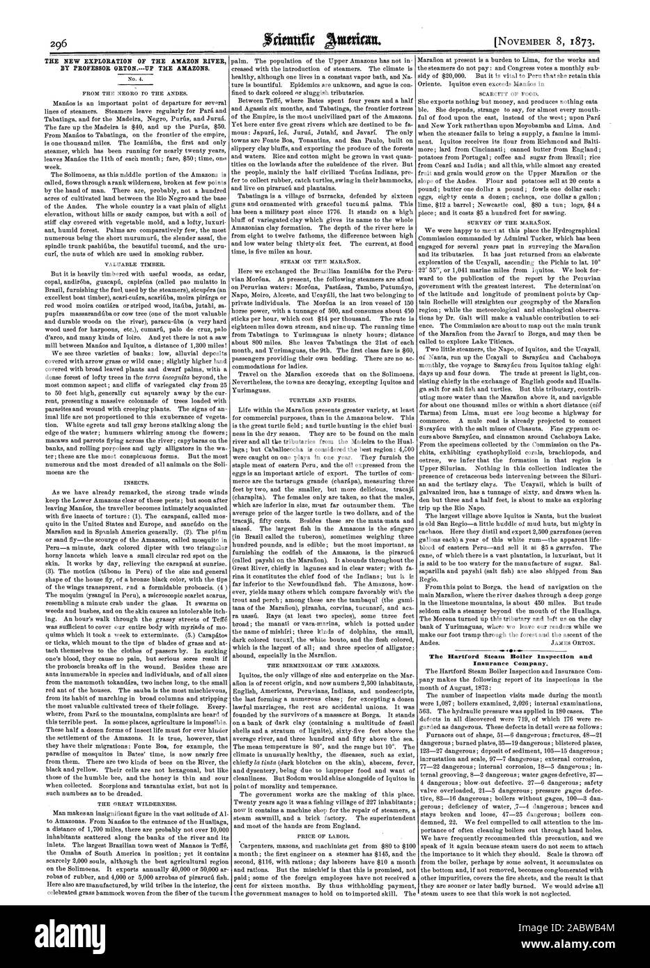 La nouvelle EXPLORATION DE L'AMAZONE PAR LE PROFESSEUR ORTON.jusqu'TILE AMAZONES. The Hartford Steam Boiler Inspection and Insurance Company., Scientific American, 1873-11-08 Banque D'Images