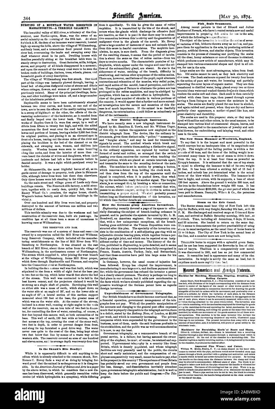 La Skunk est mortelle morsure du Un nouveau District Telegraph Instrument. Comment les Allemands saisir American Inventions. Unprolitableness des télégraphes. Le nouveau marteau à vapeur à Woolwich en Angleterre. Machine à vapeur sur le canal Érié. Pour machine de mesure correspondant. Brossage des tapis roulant d'un flambage. Machines pour le lustrage des talons des bottes et des chaussures. L'amélioration de la clé en tube et la faucheuse., Scientific American, 1874-05-30 Banque D'Images