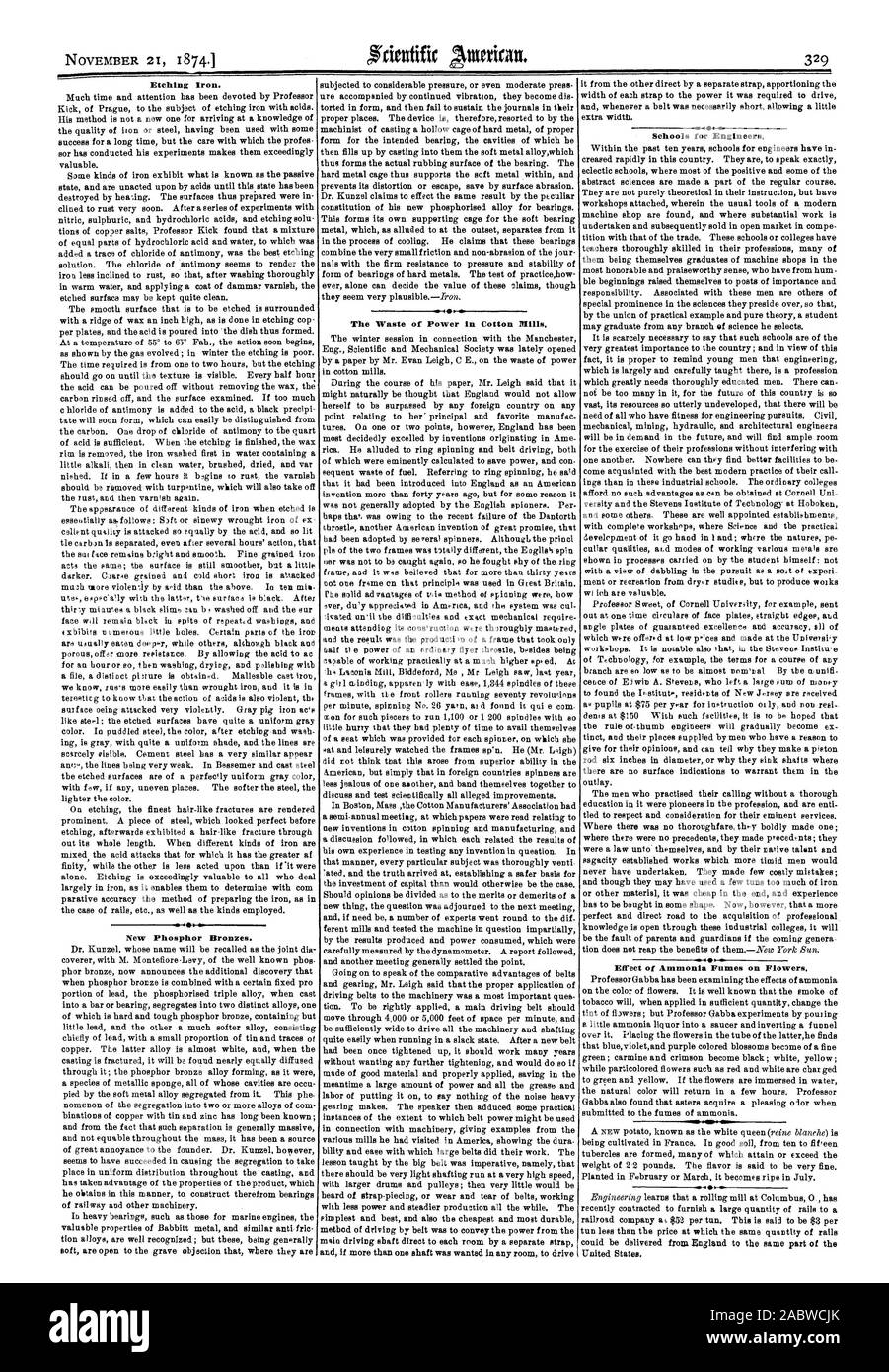 Fer à Repasser de gravure. Nouveau Phosphor Bronze. Est la perte de puissance dans les usines de coton. Pour les écoles d'ingénieurs. Les vapeurs d'ammoniac de l'effet sur les fleurs., Scientific American, 1874-11-21 Banque D'Images