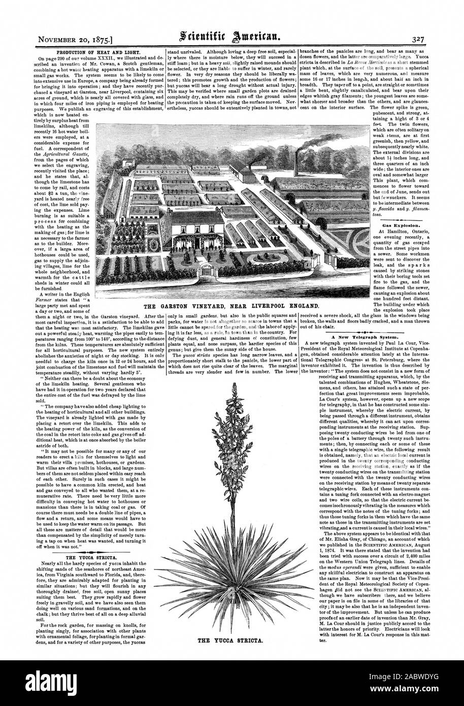 PRODUCTION DE CHALEUR ET DE LA LUMIÈRE. La teigne stricta. Explosion de gaz. Un nouveau système de télégraphe. Le vignoble de GARSTON PRÈS DE LIVERPOOL EN ANGLETERRE. La teigne STRICTA., Scientific American, 1875-11-20 Banque D'Images