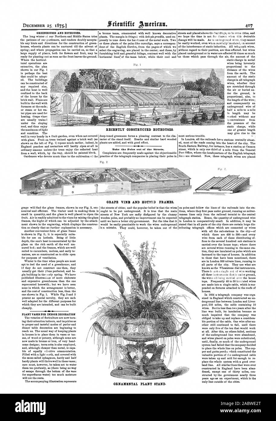 Les Serres et Serres. Récemment construits de serres. Prendre les pôles de la rue. Vigne et foyer d'images. Pour l'ornementation des vases PLANTES PLANTES ORNEMENTALES STAND., Scientific American, 1875-12-25 Banque D'Images