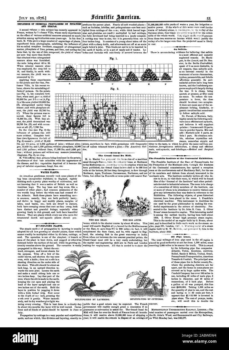 Sess. Le Grand Canal du Midi. en attente de l'emploi. Tout ce qui est nécessaire, c'est de montrer l'sur Sallein. L'Institut Franklin à l'Exposition du Centenaire. Les lignes de conduite d'huile. Métro METROPOLITAN LONDRES MR' multipliant par marcottage. La multiplication par bouturage., Scientific American, 1876-07-22 Banque D'Images