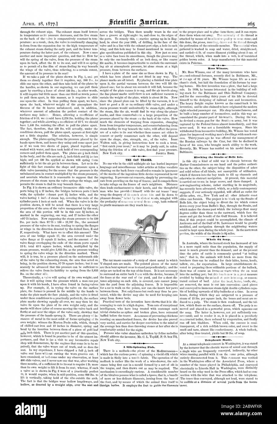 Le CHAT CASSE-TÊTE. Un Silk-Spinning le poisson. Winans Ross. Bloquer le détroit de Belle Isle. Soupe de boeuf entier. Musique téléphonique., Scientific American, 1877-04-28 Banque D'Images