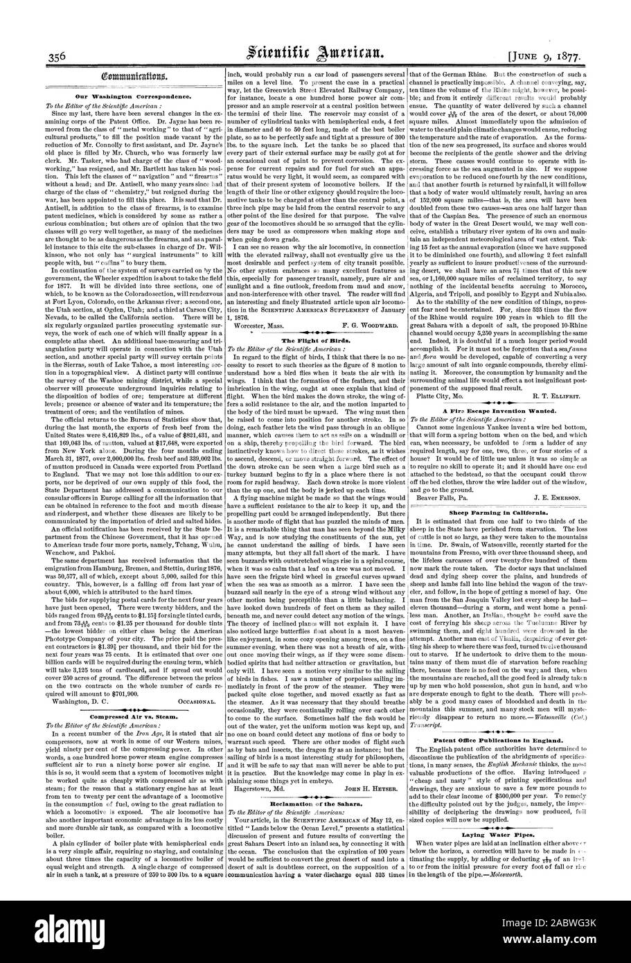 Notre correspondance de Washington. Par rapport à l'air comprimé la vapeur. o fo. Le vol des oiseaux. La récupération du Sahara. L'élevage de moutons en Californie. Publications de l'Office des brevets en Angleterre. Pose de conduites d'eau., Scientific American, 1877-06-09 Banque D'Images