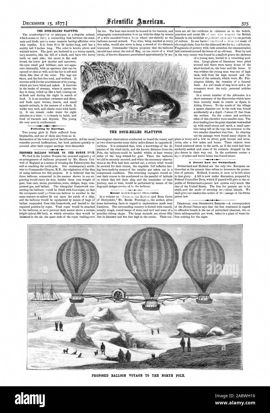 L'ornithorynque' à bec de canard. L'intoxication par les oreilles. Projet DE VOYAGE EN BALLON POUR LE PÔLE NORD. Des découvertes archéologiques récentes. Une loi sur les brevets pour la Suisse. Le DUMBILLED FUNKLEG. Projet DE VOYAGE EN BALLON POUR LE PÔLE NORD., Scientific American, 1877-12-15 Banque D'Images