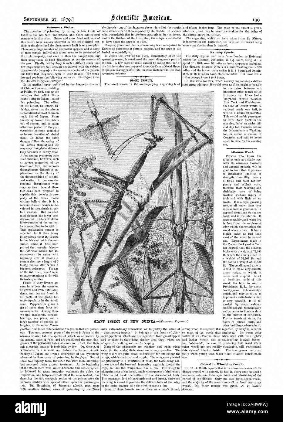 Poissons venimeux. Les insectes géants. Vitesse Ferroviaire. Allan tus le bois. Le chloral dans la coqueluche., Scientific American, 1879-09-27 Banque D'Images