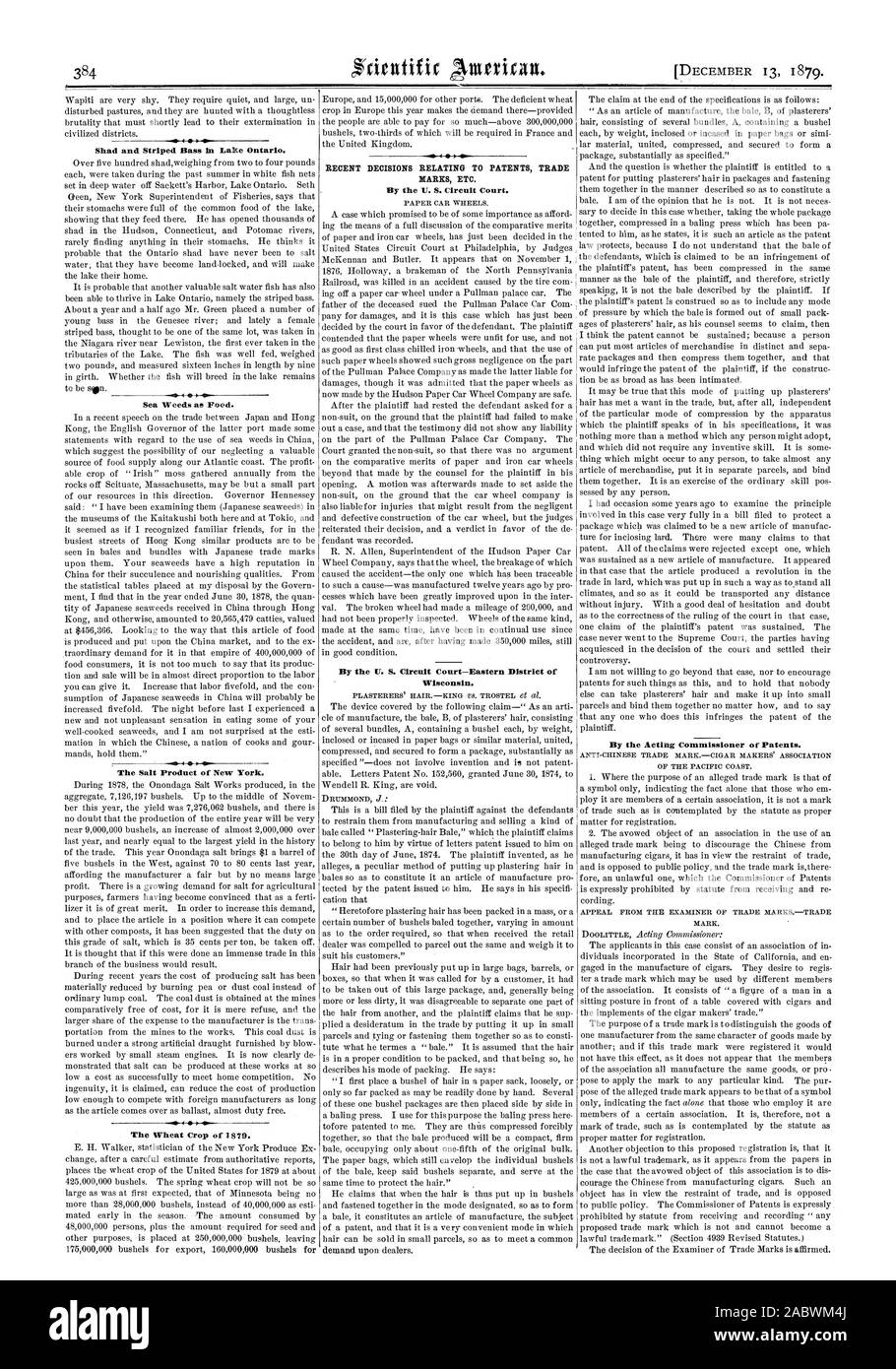 Shad et le bar rayé dans le lac Ontario. Les mauvaises herbes de mer comme nourriture. Le sel produit de New York. La récolte de blé de 1879. Les RÉCENTES DÉCISIONS RELATIVES AUX BREVETS MARQUES, etc. par la Cour de Circuit. Les roues des wagons de papier. Par la Cour de Circuit-est du Wisconsin. Par le commissaire intérimaire de brevets. Le commerce chinois anti-MARKCIGAR ASSOCIATION DES DÉCIDEURS DE LA CÔTE DU PACIFIQUE. Pourvoi à l'examinateur de l'échange. MARKSTRADE, Scientific American, 1879-12-13 Banque D'Images