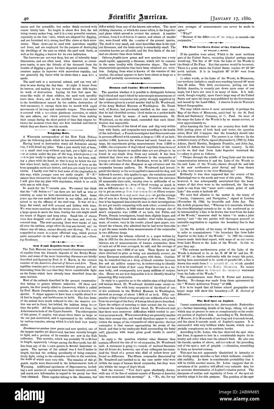 Le piégeage des rats. Nouvelle reptiles fossiles de l'Ouest. Globules rouges humains et canins. Plus le point Nord de l'United States. La tache rouge de Jupiter., Scientific American, 1880-01-17 Banque D'Images