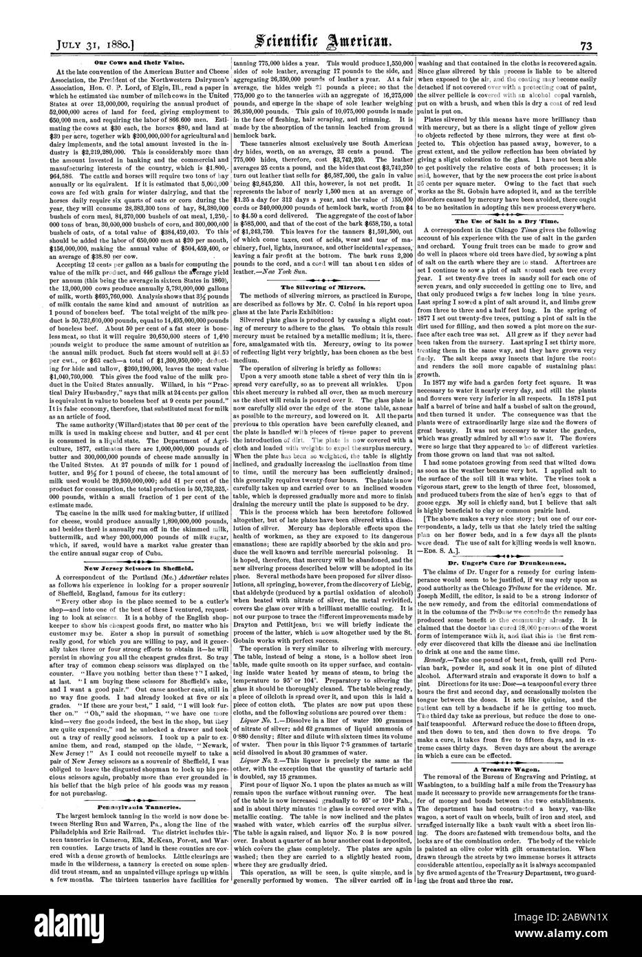 Nos vaches et leur valeur. Ciseaux New Jersey à Sheffield. Virginia tanneries. L'utilisation de sel dans un endroit sec 'rime. Le Dr Unger's Cure pour l'ivresse. Un trésor d'une familiale. L'argenture des miroirs., Scientific American, 1880-07-31 Banque D'Images