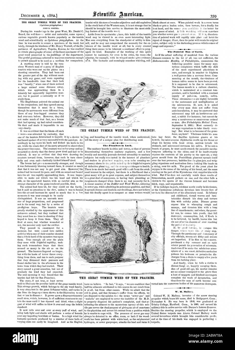 WOW LE GRAND MOLE DE MAUVAISES HERBES DES PRAIRIES. Les plombiers à chance. L'homme harcelé de terre. La GRANDE TUMBLE WEED DES PRAIRIES. La GRANDE TUMBLE WEED DES PRAIRIES., Scientific American, 1882-12-02 Banque D'Images