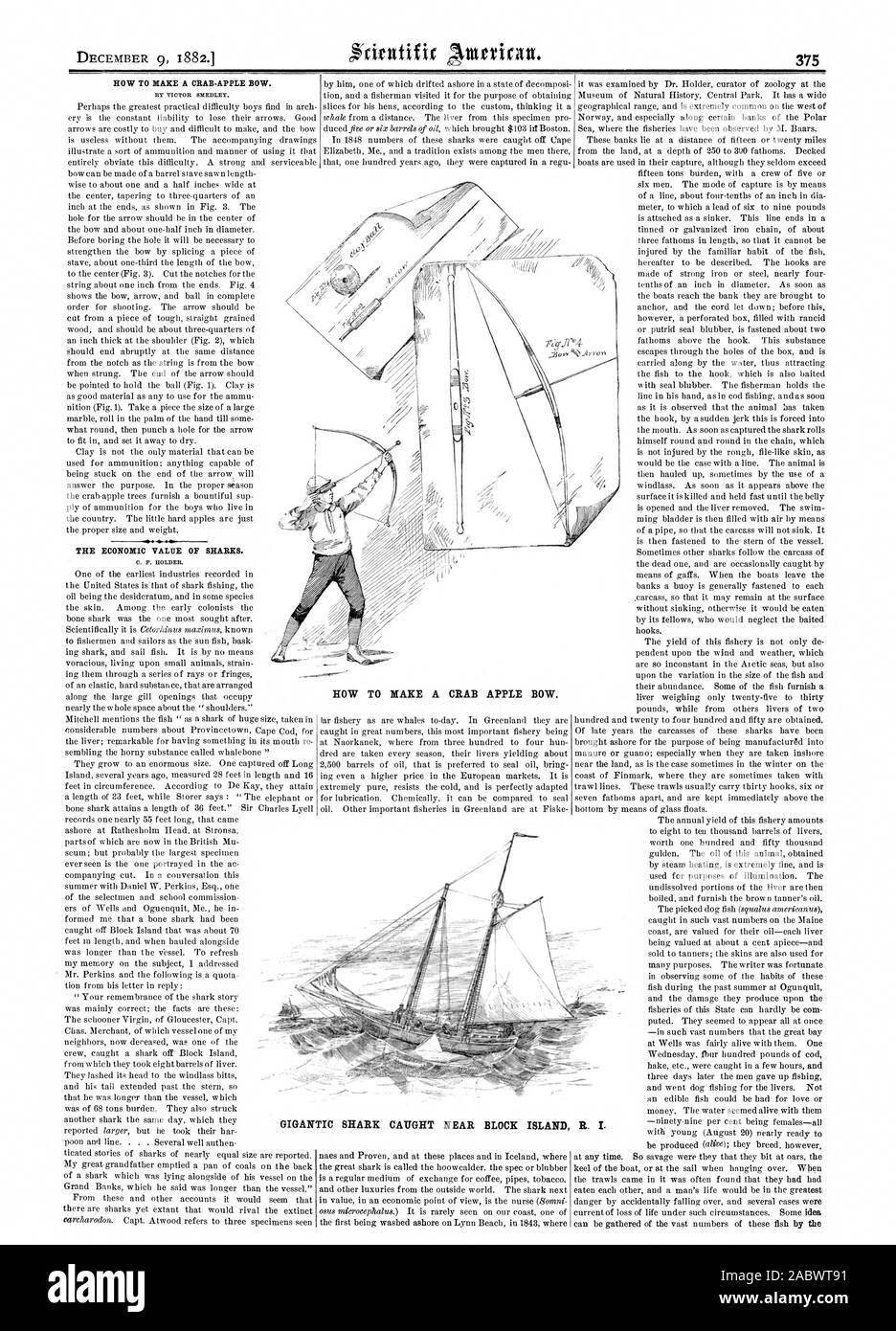 Comment FAIRE UN CRABE-APPLE ARC. Par VICTOR SMEDLEY. La VALEUR ÉCONOMIQUE DES REQUINS. C. F. TITULAIRE. Comment FAIRE UN ARC APPLE DU CRABE. Requin GÉANT CAPTURÉ PRÈS DE BLOCK ISLAND R. I., Scientific American, 1882-12-09 Banque D'Images
