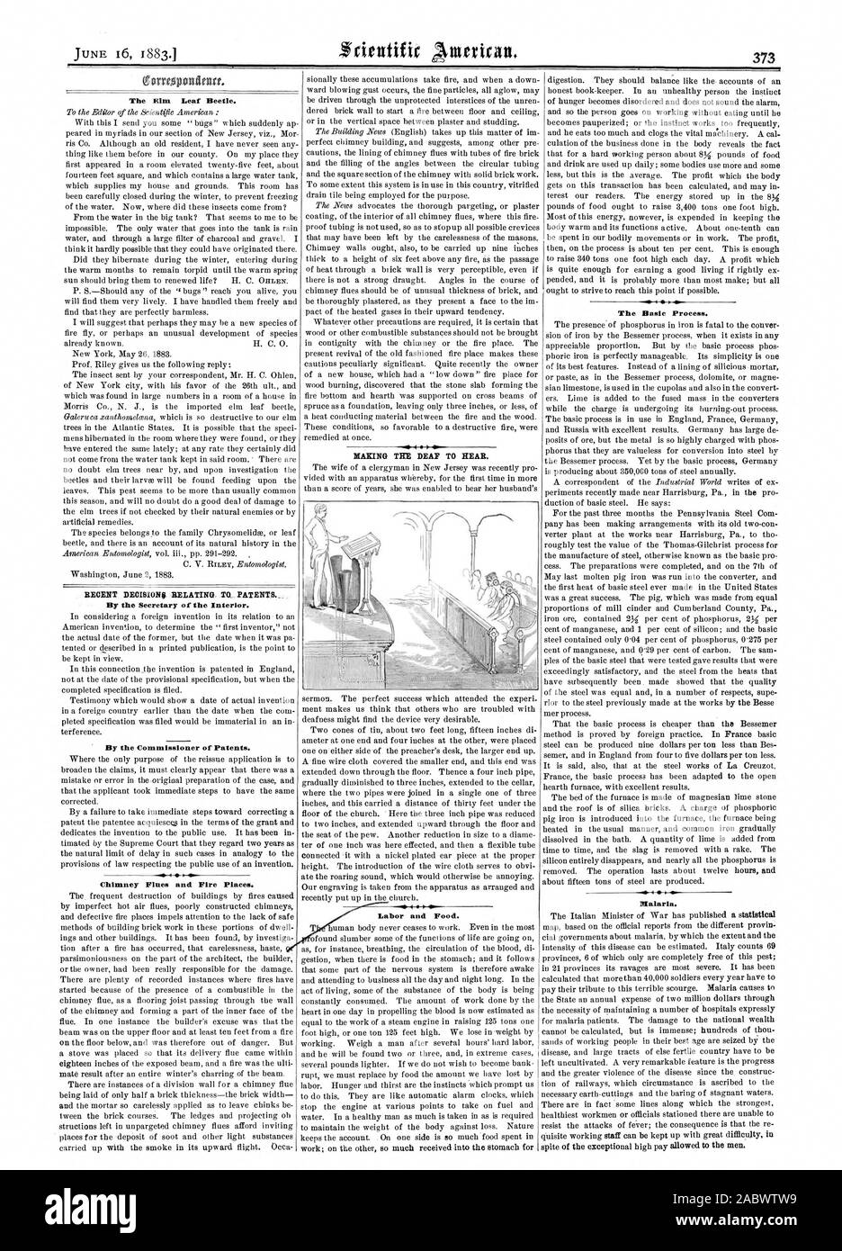 Garcon:4mm l'Orme du coléoptère. Par le secrétaire de l'intérieur. Par le commissaire des brevets. Les conduits de fumée et cheminées. Travail et de la nourriture. Le processus de base.Le paludisme., Scientific American, 1883-06-16 Banque D'Images