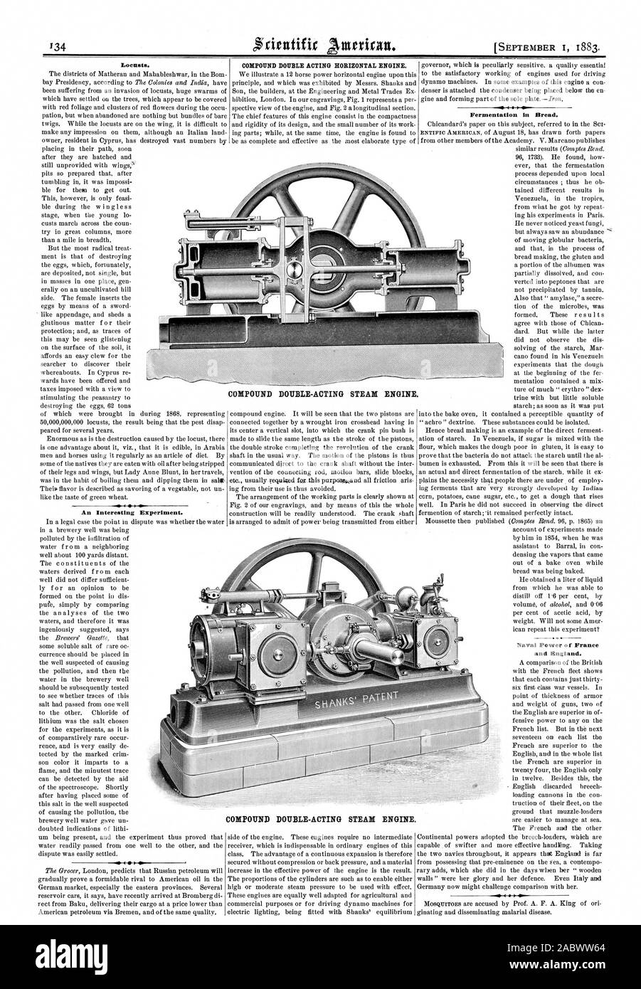Les criquets. Une expérience intéressante. DOUBLE EFFET COMPOSÉ DU MOTEUR HORIZONTAL. Hi la fermentation du pain. et l'Angleterre. DOUBLE EFFET COMPOSÉ DU MOTEUR À VAPEUR. DOUBLE EFFET COMPOSÉ DU MOTEUR À VAPEUR., Scientific American, 1883-09-01 Banque D'Images