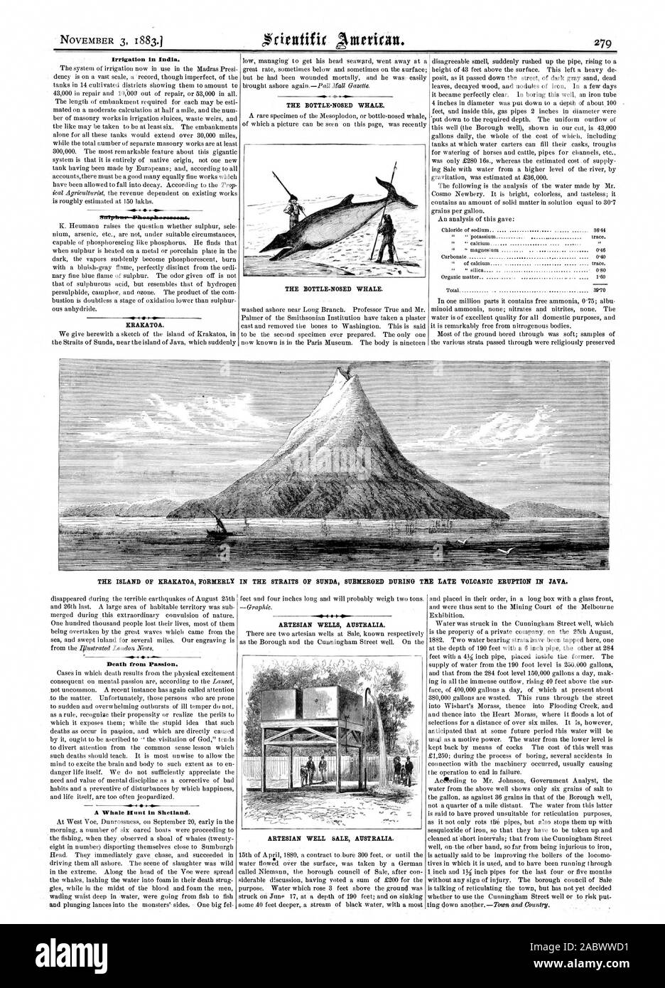 L'irrigation en Inde. fleripirew Alliedrimamwase-riar. KRAKATOA. L'ÎLE DE KRAKATOA, anciennement DANS LE DÉTROIT DE SUNDA SUBMERGÉ DURANT LA FIN DE L'ÉRUPTION VOLCANIQUE EN T EN JAVA. La mort de la Passion. Une baleine en avant Shetland. Les puits artésiens de l'Australie. Puits artésien VENTE AUSTRALIE., Scientific American, 1883-11-03 Banque D'Images