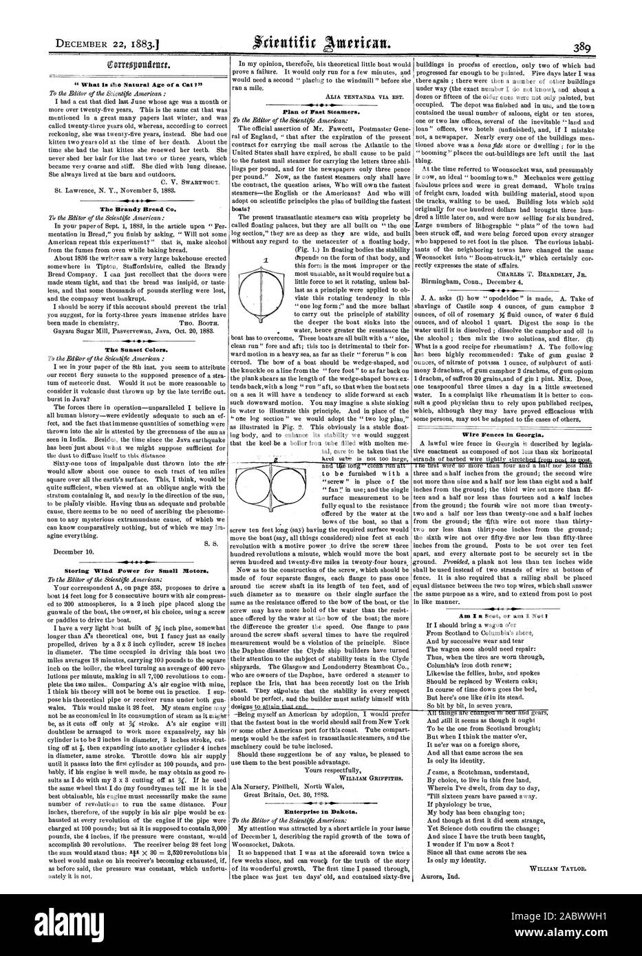 Quel est l'âge naturel de l''un chat Le Brandy Bread Co. le coucher de couleurs. Le stockage de l'énergie éolienne pour les petits moteurs. Des bateaux à vapeur rapide du plan. Entreprise dans le Dakota. Clôtures en Géorgie., Scientific American, 1883-12-22 Banque D'Images