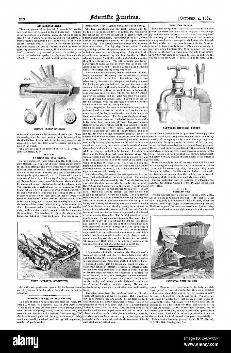 Membrane de l'oeuf pour une greffe de peau. Une intelligence remarquable et l'Héroïsme d'un chien. 4 Outils de tournage Diamant Siv., Scientific American, 1884-10-04 Banque D'Images